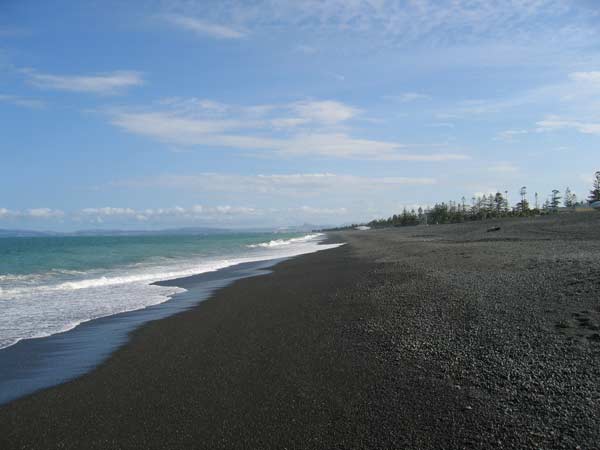 Napier beach