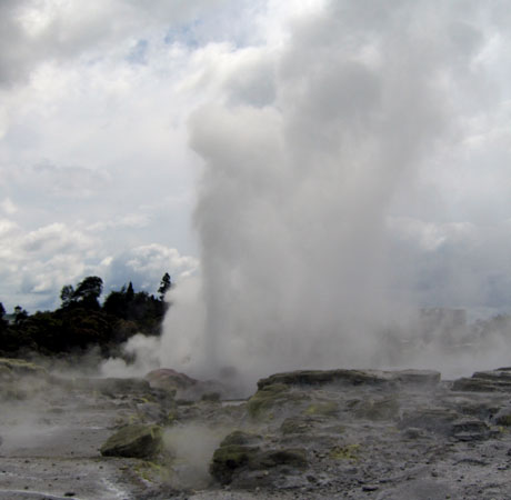 Rotorua geyser